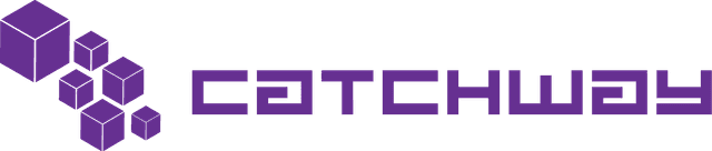 Catchway — AI Development Cost Reduction Consulting